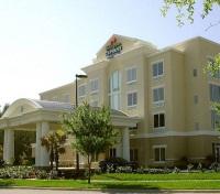 Holiday Inn Busch Gardens
